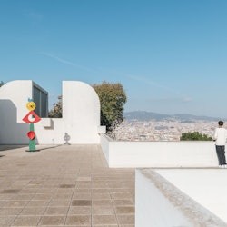 Passi Museu de Barcelona - Articket: sense cues - 1