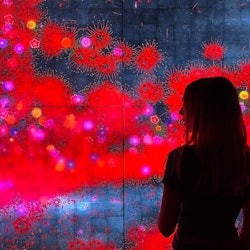 Barcelona: Picasso Museum Guided Tour & Moco Museum Entry - 1