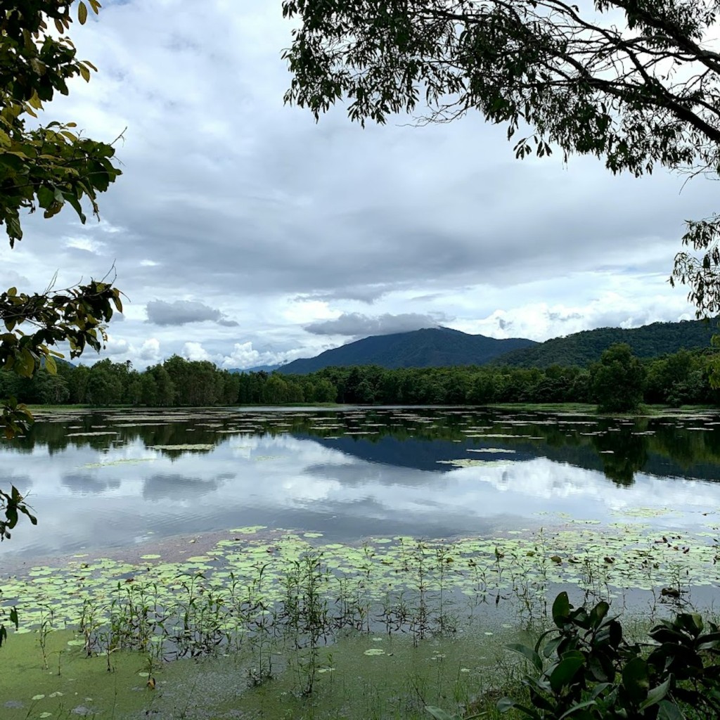 Barron Falls & Cattana Wetlands: Tour + Lunch + Cableway or Scenic Railway Ride - 1