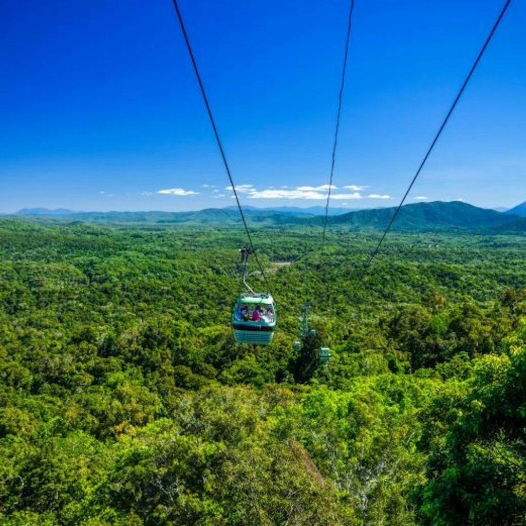 Barron Falls & Cattana Wetlands: Tour + Lunch + Cableway or Scenic Railway Ride - 2