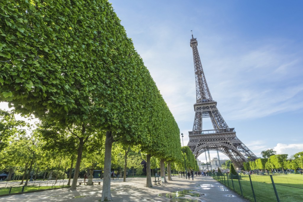 Paris Open-Top Bus Tour, Seine River Cruise, and Eiffel Tower Dining Experience (Paris Open-Top Bus Tour + Seine River Cruise + Eiffel Tower Lunch at Madame Brasserie) - 1