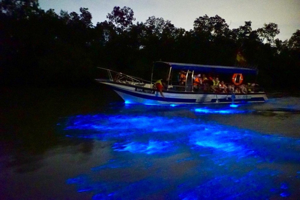 Blue Tears Boat Cruise in Kuala Selangor (Blue Tears Boat Cruise in Kuala Selangor (Non-Malaysian Citizen)) - 1