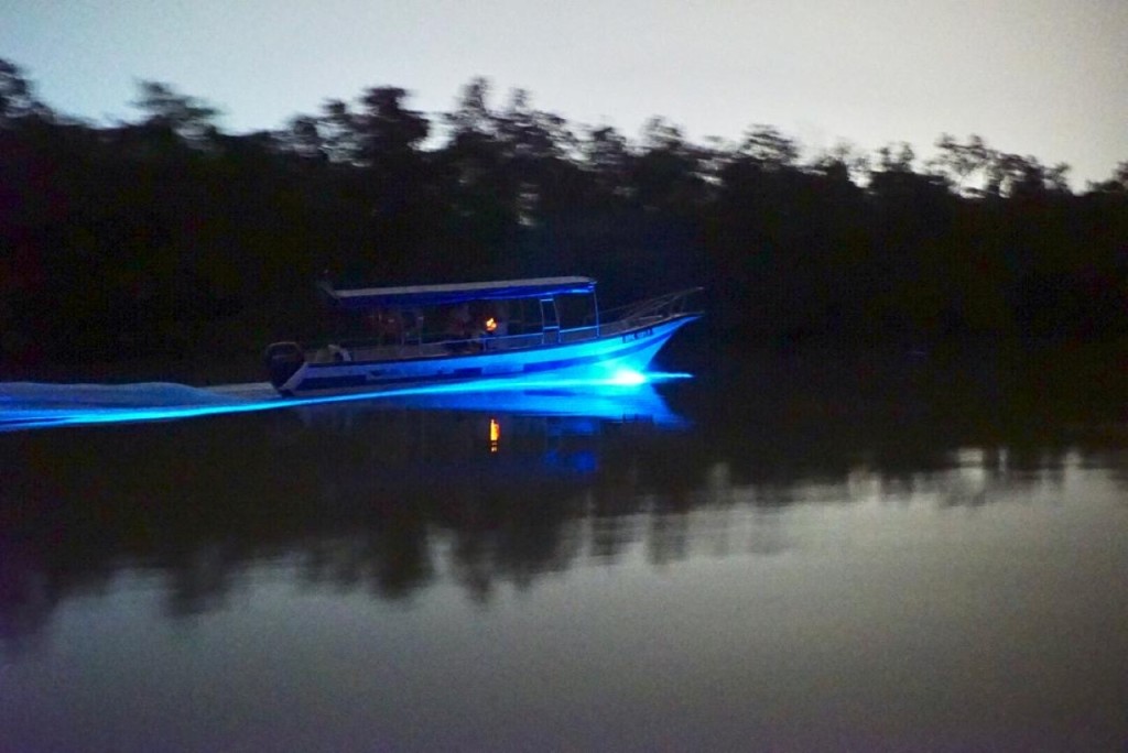 Blue Tears Boat Cruise in Kuala Selangor (Blue Tears Boat Cruise in Kuala Selangor (Malaysian Citizen)) - 3