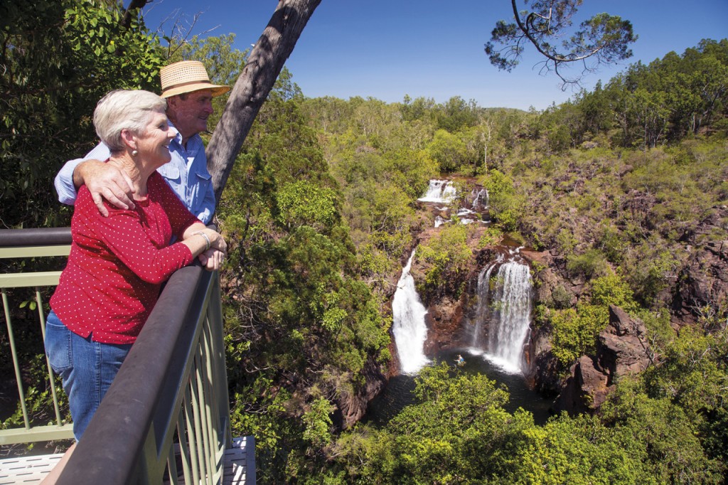 Litchfield National Park and Waterfalls Tour from Darwin (Litchfield National Park and Waterfalls Tour) - 1