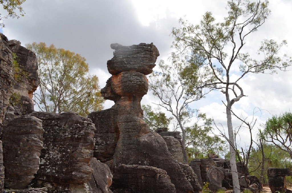 Litchfield National Park and Waterfalls Tour from Darwin (Litchfield National Park and Waterfalls Tour) - 2
