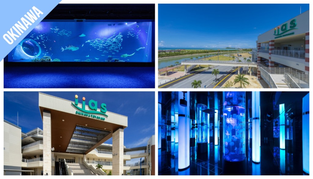 Have Fun in Okinawa Pass - 1 Week Free Pass (Have Fun in Okinawa Pass - 1 Week Free Pass (Select 3)) - 1