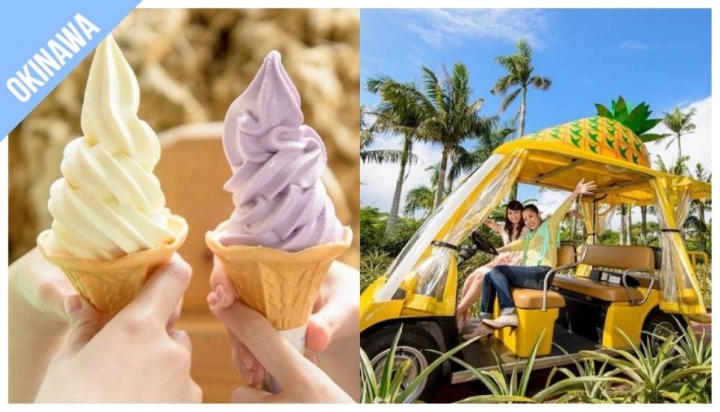 Have Fun in Okinawa Pass - 1 Week Free Pass (Have Fun in Okinawa Pass - 1 Week Free Pass (Select 3)) - 2