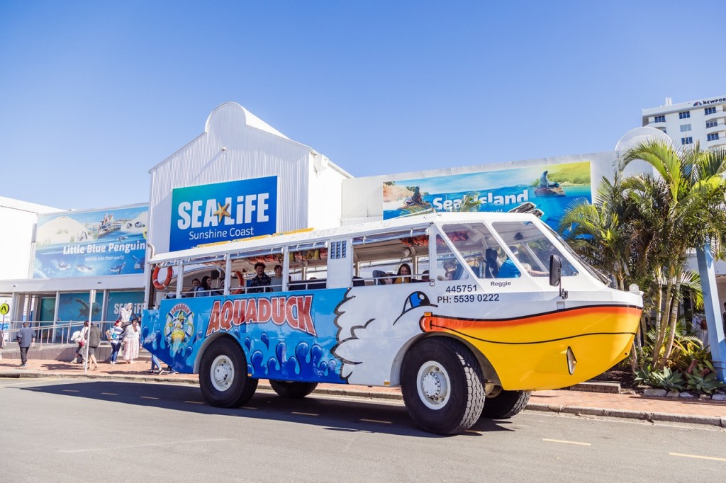 Aquaduck Sunshine Coast City and River Tour (1 Hour City Tour and River Cruise (Family Package)) - 3