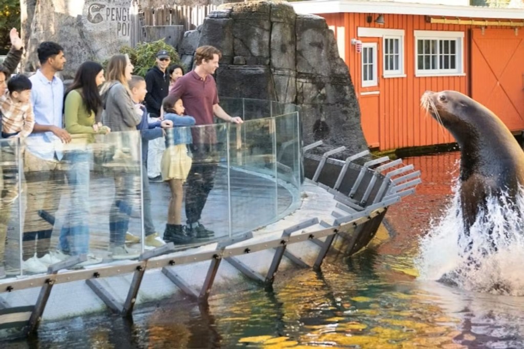 Vancouver Aquarium Ticket (Admission) - 2