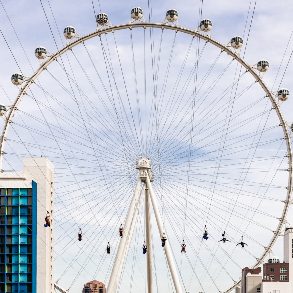 Fly LINQ Zipline (Fly LINQ Zipline - Single Ride (Fridays to Sundays)) - 1