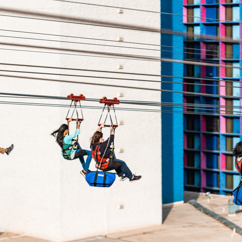 Fly LINQ Zipline (Fly LINQ Zipline - Single Ride (Mondays to Thursdays)) - 1