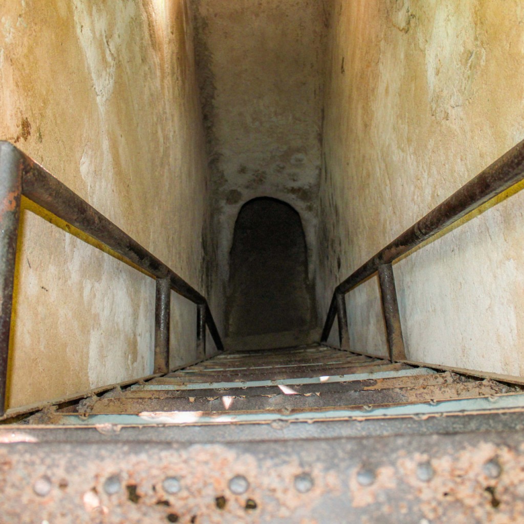 Cu Chi Tunnels and Mekong Delta Full-Day Tour from Ho Chi Minh (Cu Chi Tunnels and Mekong Delta Full-Day Tour from Ho Chi Minh - Luxury Tour) - 3