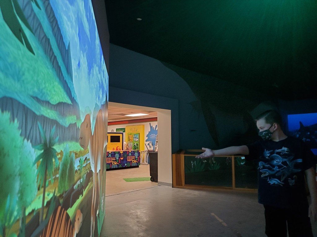 Las Vegas Natural History Museum (Las Vegas Natural History Museum - Admission) - 3