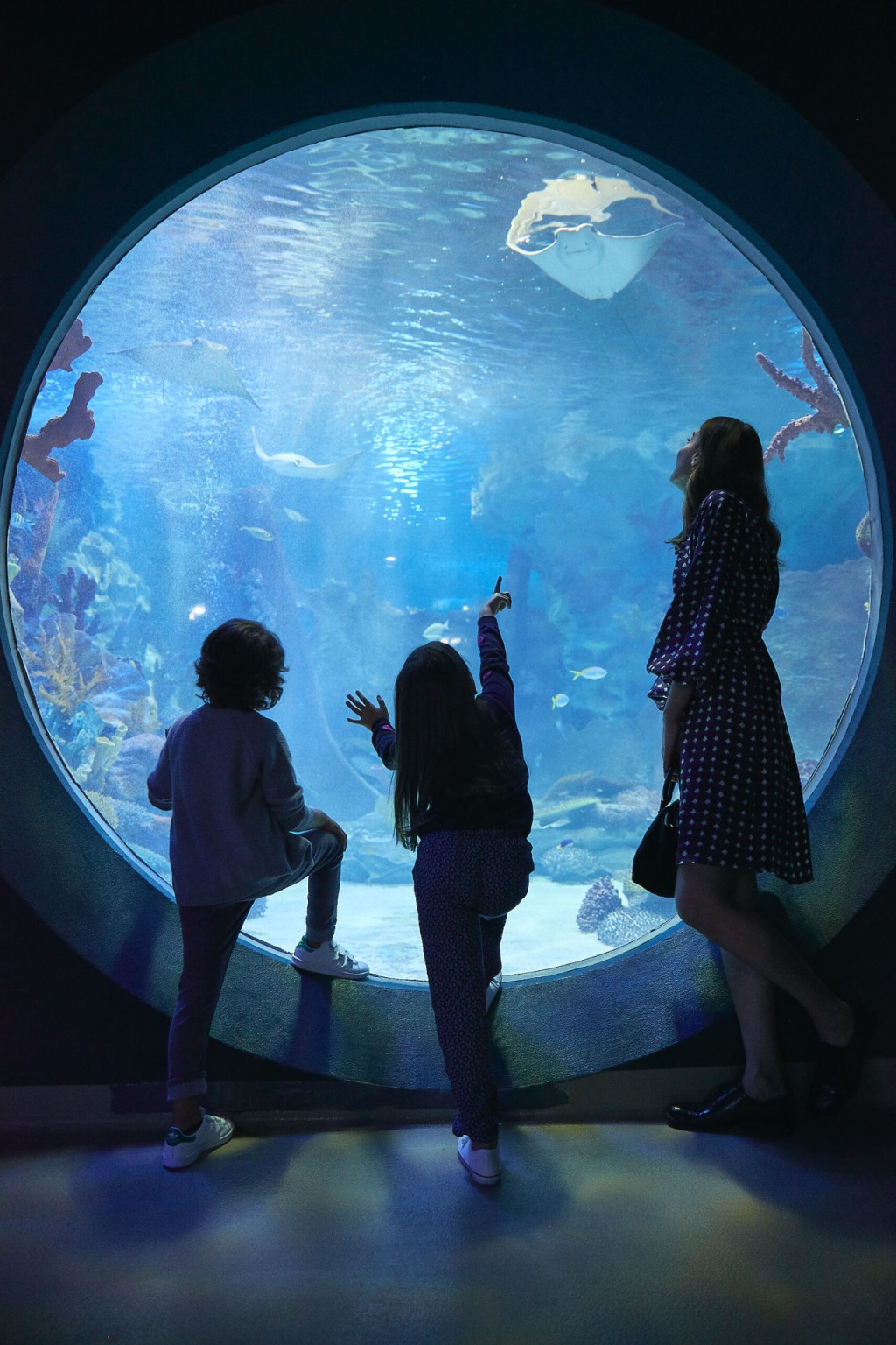 Emaar Aquarium and Underwater Zoo Ticket (Emaar Aquarium and Underwater Zoo - Admission) - 3