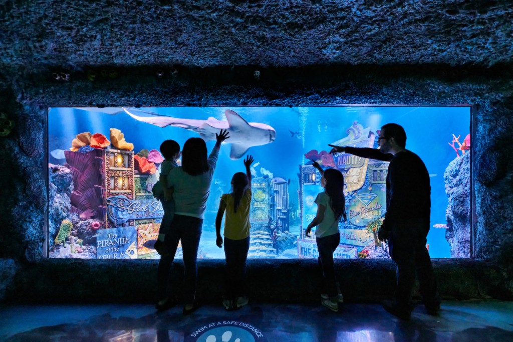 SEA LIFE New Jersey Aquarium Ticket (SEA LIFE New Jersey - Admission) - 1