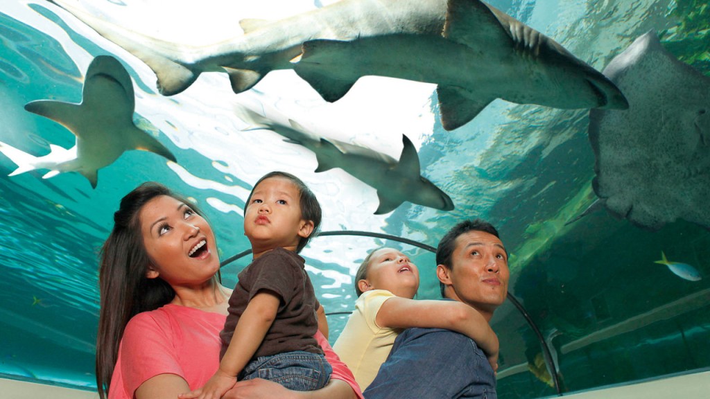 SEA LIFE New Jersey Aquarium Ticket (SEA LIFE New Jersey - Admission) - 3