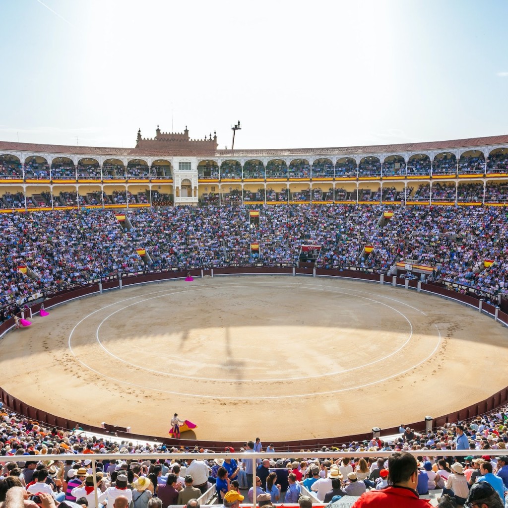 Las Ventas Bullring and Museum (Las Ventas Bullring and Museum - Student Admission with Audio Guide) - 1