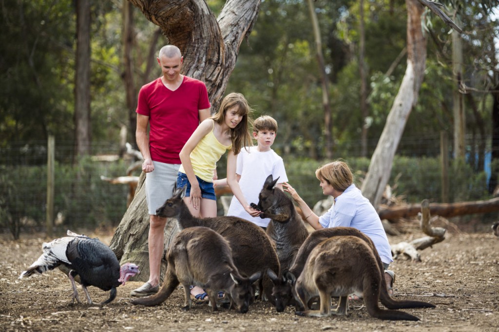 Kangaroo Island Tour from Adelaide - 1