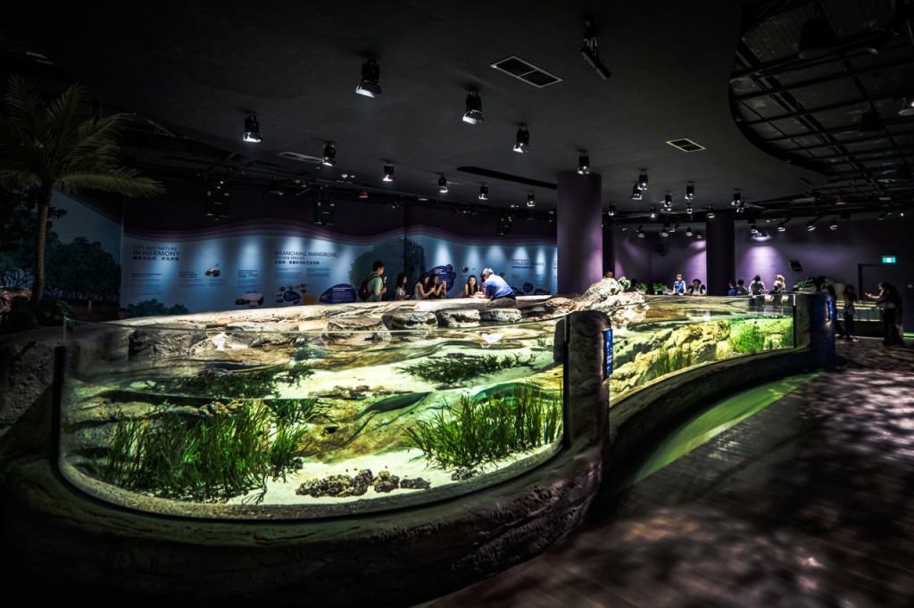 COMBO: Singapore Cable Car + Singapore Oceanarium + Albatross Hop-On Hop-Off Speedboat Tickets (COMBO: Cable Car Sky Pass - Mount Faber Line and Sentosa Line (Round Trip) + Singapore Oceanarium One-Day Ticket (Fixed Dated) +  Albatross Hop-On Hop-Off Speedboat Pass - 1 Day (Open Dated)) - 3
