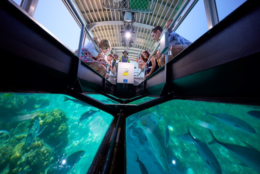 Green Island Great Barrier Reef Half Day Tour from Cairns (1:00 PM Departure – Free Snorkel Hire or Glass Bottom Boat) - 2