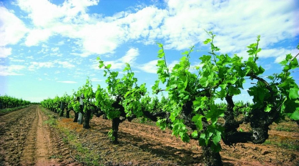 Margaret River Beer Tasting Tour from Perth - 3