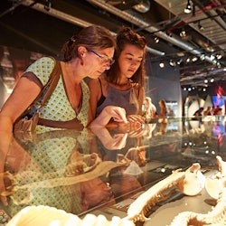 Berlin : 24-Hr Hop-on Hop-off Bus Tour + BODY WORLDS Entry + Audio Guide - 3