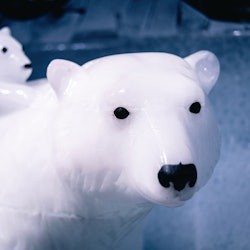 Berlin Icebar + 3 begudes gratuïtes - 2