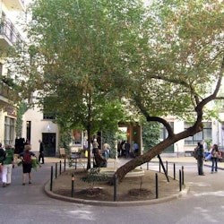 Berlin : Visite guidée de Scheunenviertel et Hackesche Höfe - 2