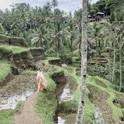 Best of Ubud: Monkey Forest, Rice Terraces, Tegenungan Waterfall & Temples - 1