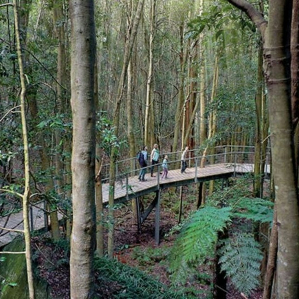 Parc Nacional de les Muntanyes Blaves: Scenic World Pass - 2