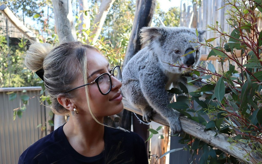 Visite des Montagnes Bleues : déjeuner, Scenic World, zoo de Sydney, photo de Koala et retour en ferry dans le port. (Small Group Four Seasons Pick-Up) - 3