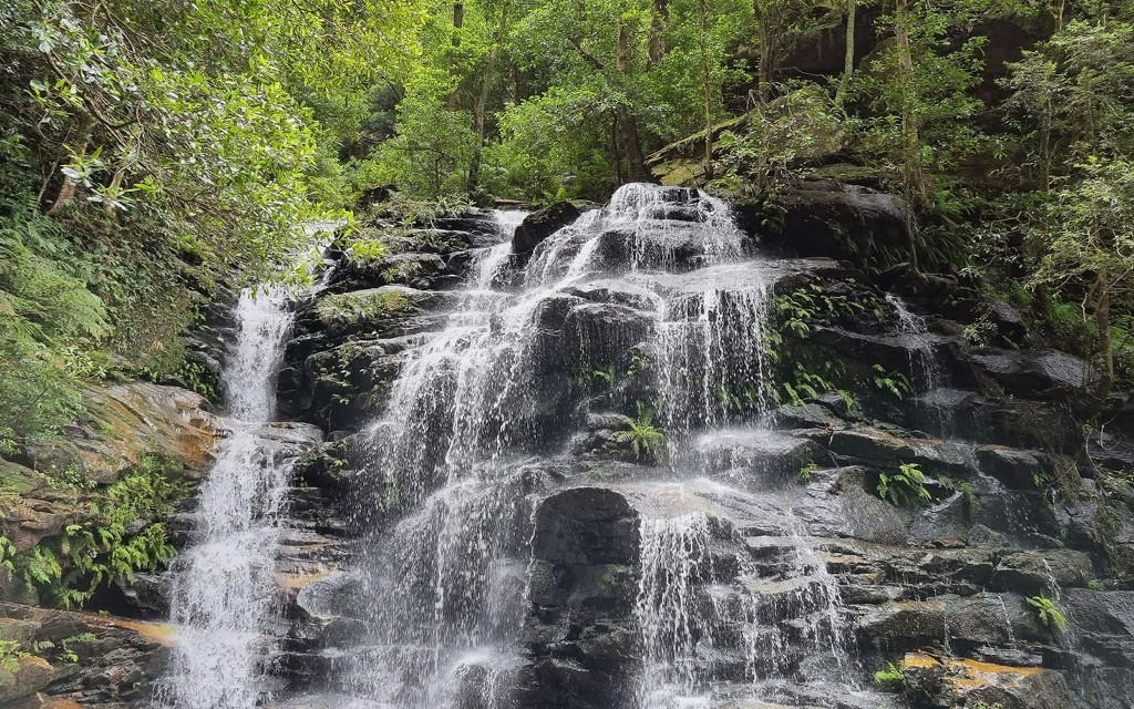 Visite des Montagnes bleues avec Scenic World et le zoo de Sydney (Blue Mountains, Scenic World, Sydney Zoo & Ferry Tour) - 3