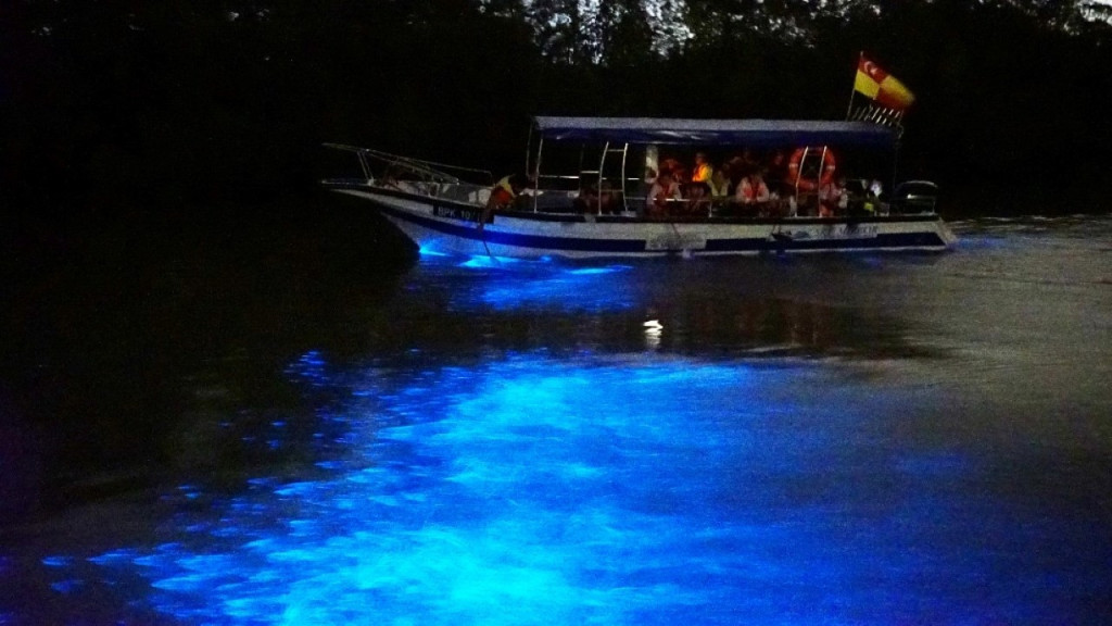 Blue Tears Boat Cruise in Kuala Selangor (Blue Tears Boat Cruise in Kuala Selangor (Malaysian Citizen)) - 1