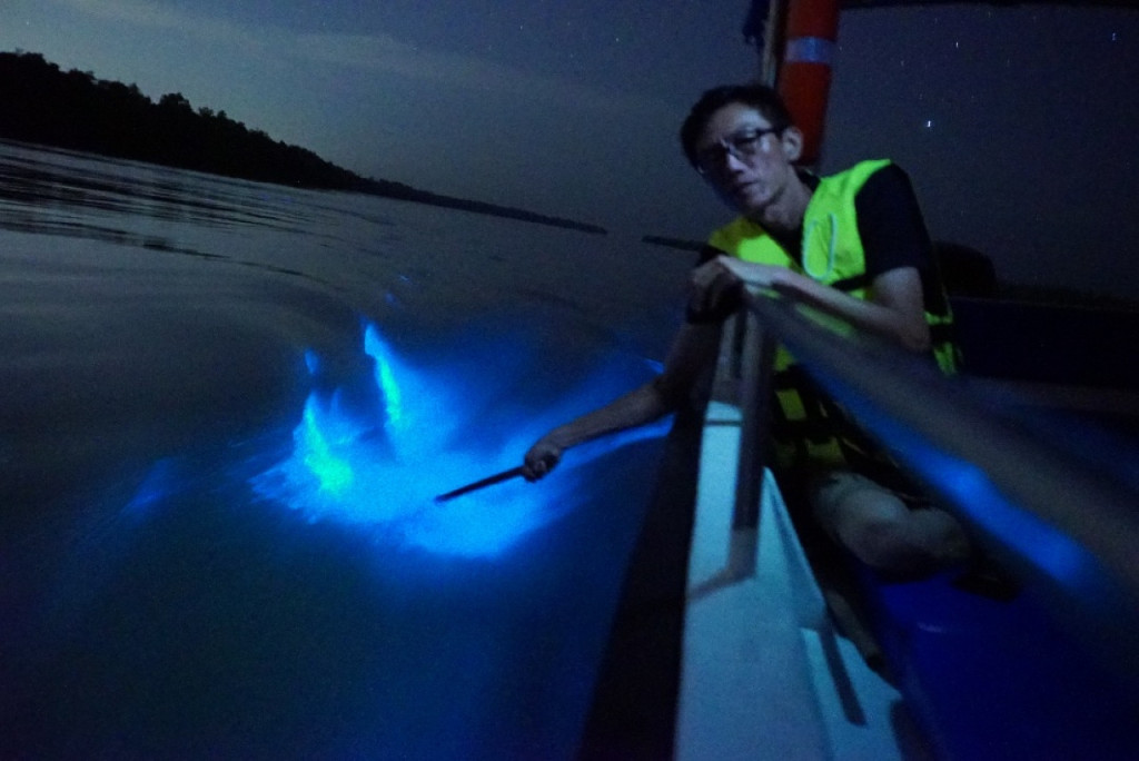 Blue Tears Boat Cruise in Kuala Selangor (Blue Tears Boat Cruise in Kuala Selangor (Malaysian Citizen)) - 2