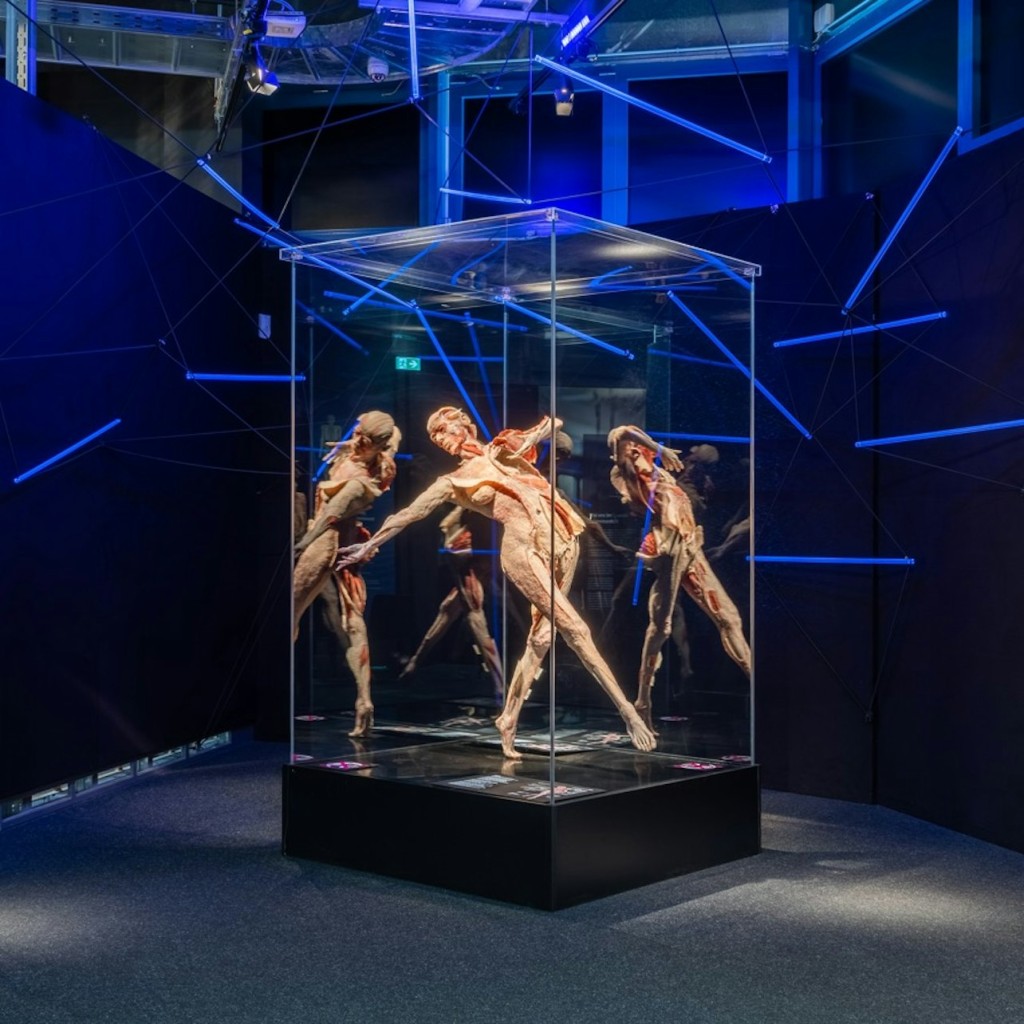 BODY WORLDS Berlin - Le premier musée BODY WORLDS - 1