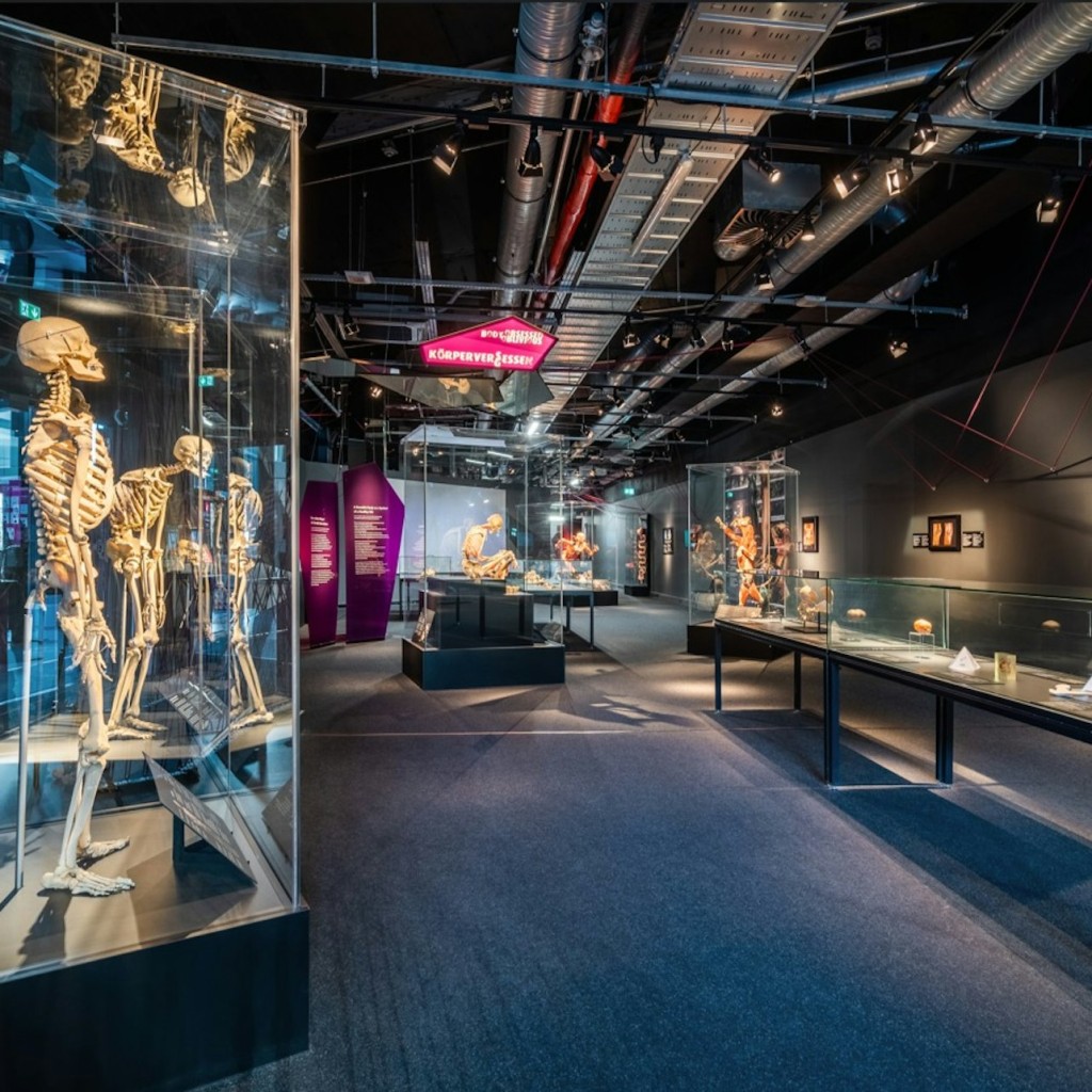 BODY WORLDS Berlin - Le premier musée BODY WORLDS - 3