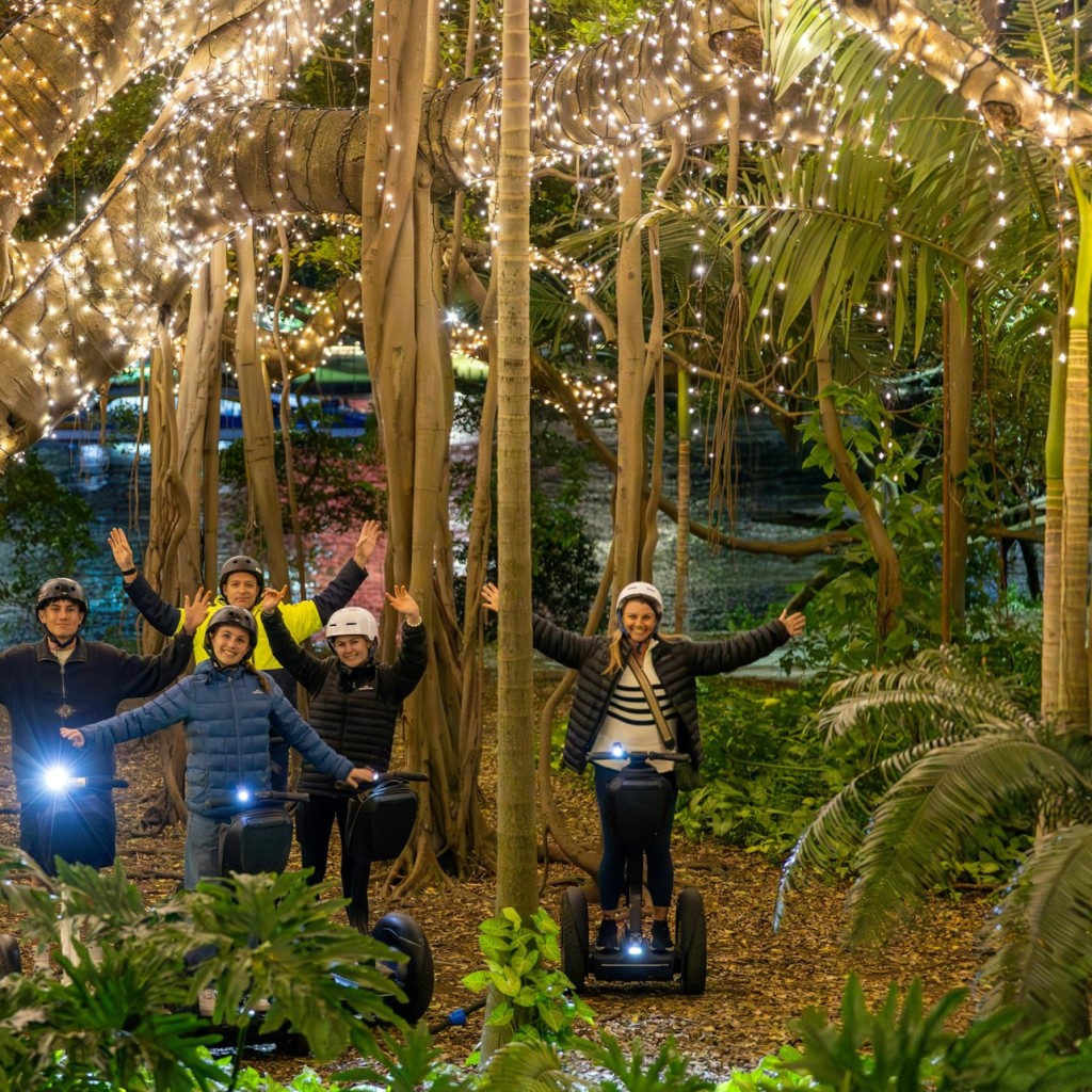 Brisbane: Tour guidato in segway nel pomeriggio o al tramonto - 2