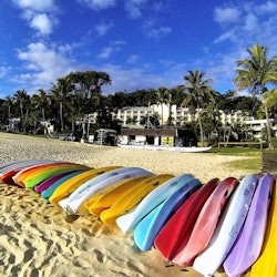 Brisbane: Moreton Island Day Pass + traslados de balsa - 2