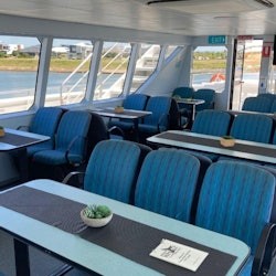 Brisbane: Tour di avvistamento delle balene + Trasferimenti + Pranzo - 3