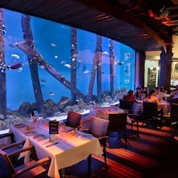 Cairns Aquarium by Twilight - 1