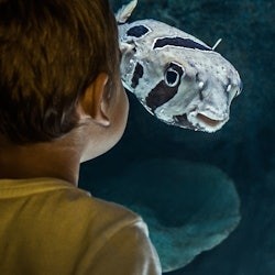 Cairns Aquarium by Twilight - 2