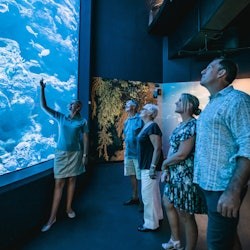 凯恩斯水族馆:夜间门票+ 2道菜晚餐 - 2