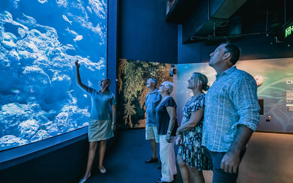 Cairns Aquarium Nachttour mit optionalem Abendessen (Guided Nocturnal Tour) - 2