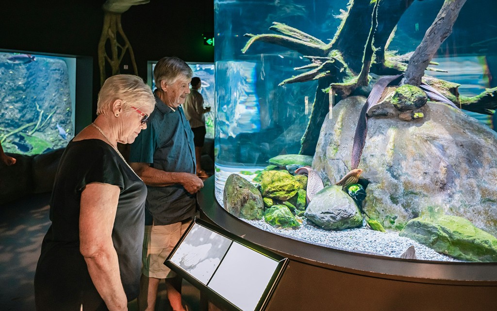 Cairns Aquarium Tickets (Entry Tickets) - 1