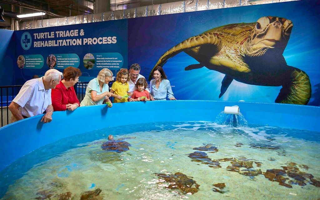 Cairns Aquarium Tickets (Entry Tickets) - 3