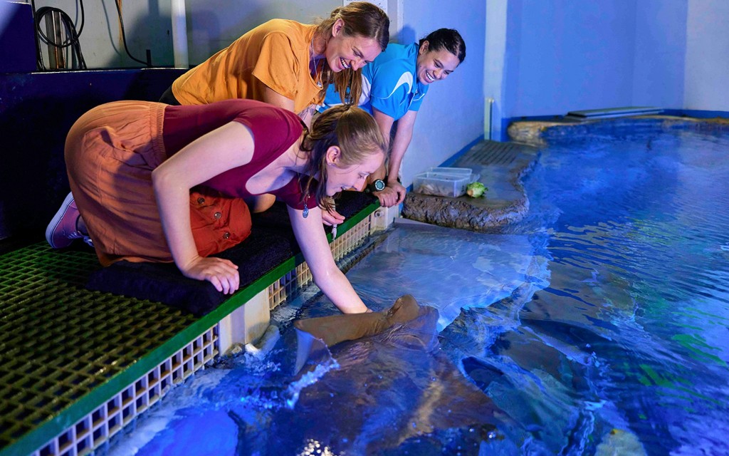 Bilety do Akwarium w Cairns (Night at the Aquarium - Guided Nocturnal Tour) - 1