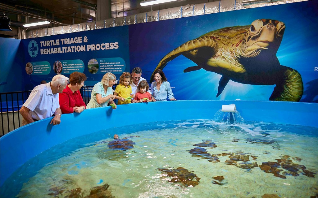 Bilety do Akwarium w Cairns (Night at the Aquarium - Guided Nocturnal Tour) - 2