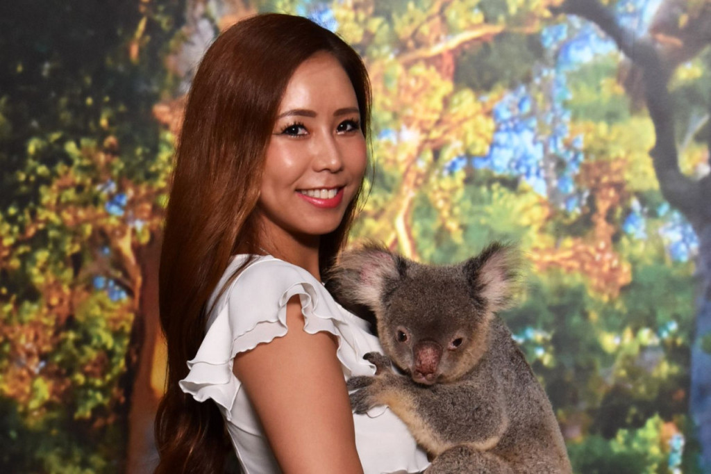 Cairns Koalas and Creatures at the Pier Ticket (Admission + Standard Koala Photo) - 1