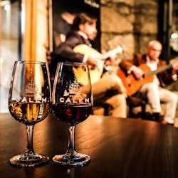 Höhlen von Cálem: Geführte Tour mit Fado-Show und Wein - 1