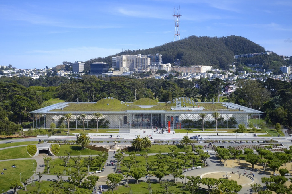 California Academy of Sciences Ticket (Daytime Admission - Youth (13-18 Years)) - 1